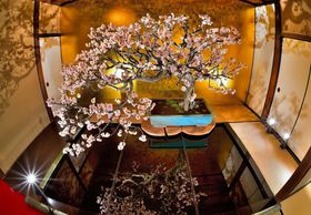 ���{��̋K�́I�t�H�g�W�F�j�b�N�ȁu���l�~�~�W�v�ňꑫ�����t��̊��I�̋L���T���l�C��