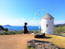 ĺủwv10IIK肽߂̓RR̋LTlC