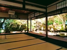 GWまで楽しめる！京都・高台寺/圓徳院の春のライトアップ