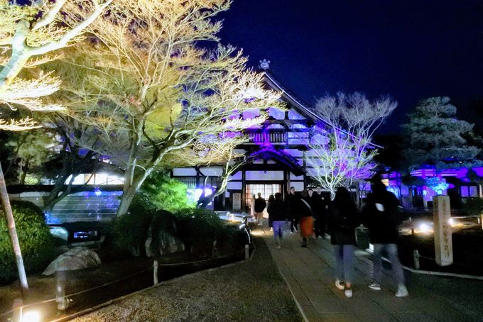 Gwまで楽しめる 京都 高台寺 圓徳院の春のライトアップ 京都府 トラベルjp 旅行ガイド