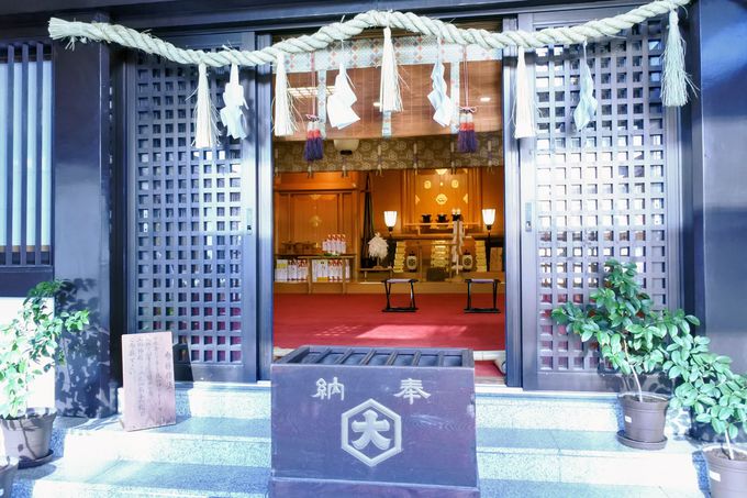 _aɂQqBuсv̖{̈ӖƂ́H