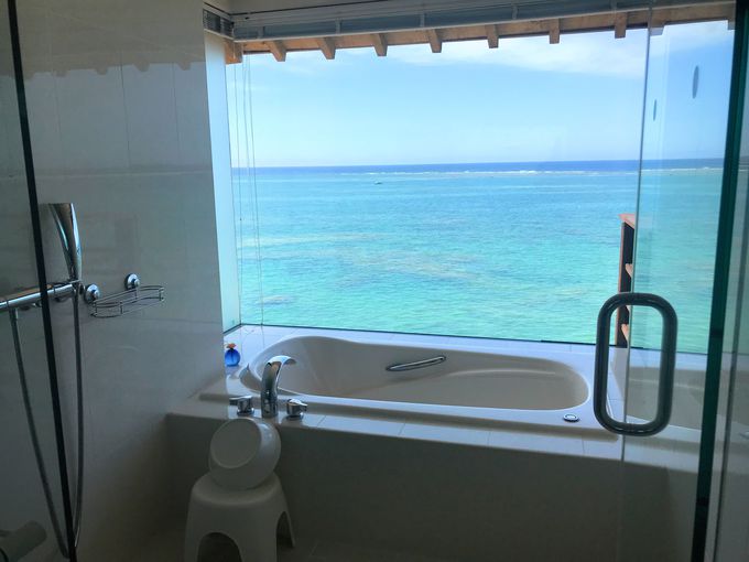 SXC[g̃I[Vr[IS䂭܂ŊC𖞋i