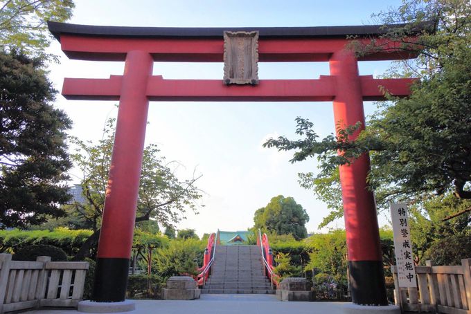 老舗の元祖くず餅 東京 船橋屋 噂の乳酸菌入りヘルシースイーツ 東京都 Lineトラベルjp 旅行ガイド