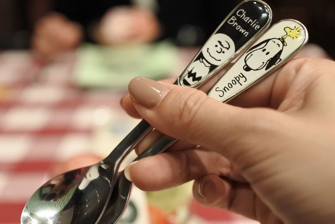 PEANUTSa70NLOeB~XptFƂyY