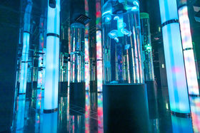 �ߔe��`�߂��ŋC�y�ɖK��uDMM����䂵�����فv�̖��͂̋L���T���l�C��