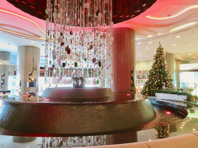 KL�Z���g�����w���璼��