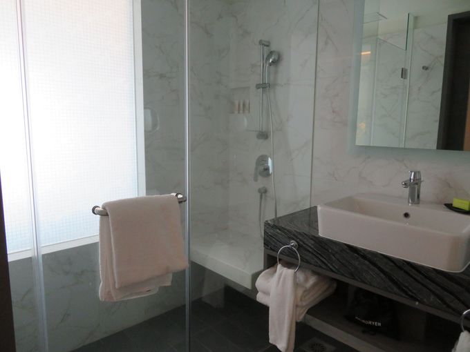 �������X�^�C���b�V��