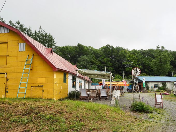 ڂ̋G߂͖kC̉Ă̂͂܂