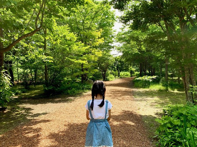 X̒뉀ŁuȂv̋CɂȂĂ݂悤