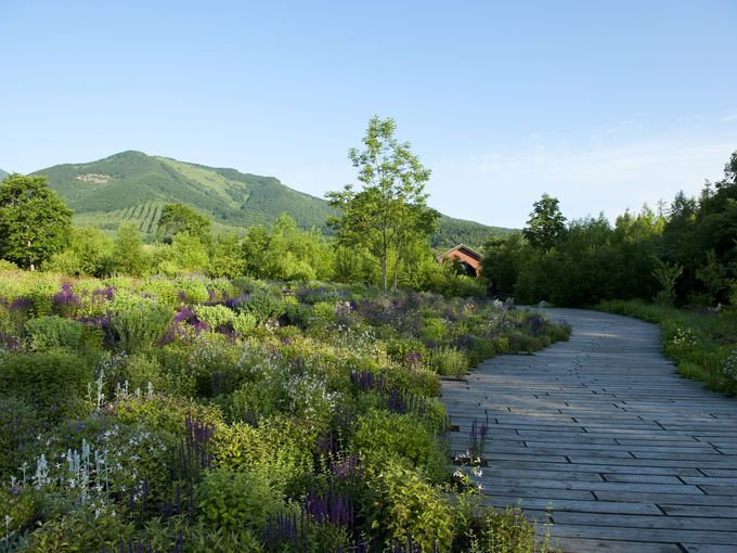 X̒뉀ŁuȂv̋CɂȂĂ݂悤