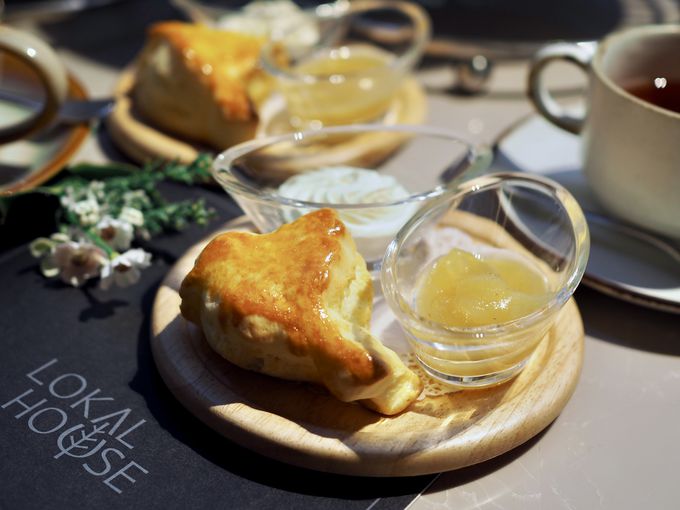 �u�I�[�^���E�E�B�X�p�[�v�͏H�̖��o�����ځI