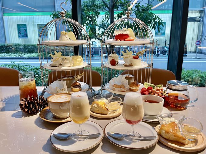 ���{���́uvoco�v�֍s���Ă݂悤�I