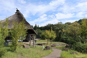 k̏spقɘȂ Ԃ̗فupَR ̍v̋LTlC