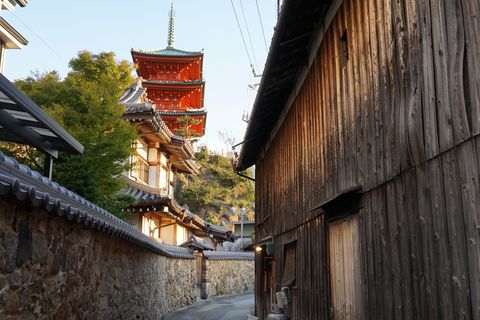 �A�j���Łw���炩�����̍��؂���x�̐��n�܂Ƃ� ����͏������I�̋L���T���l�C��