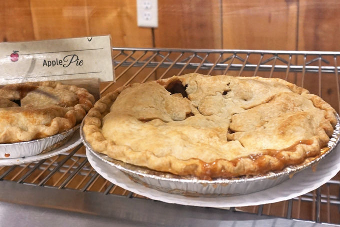 �����S�O�����Ŗ����ɁI�u�A�b�v���p�C�E�g���C���v