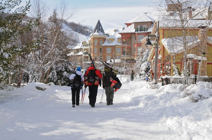 �I���^���I�B�ő�̃X�L�[��u�u���[�}�E���e���v