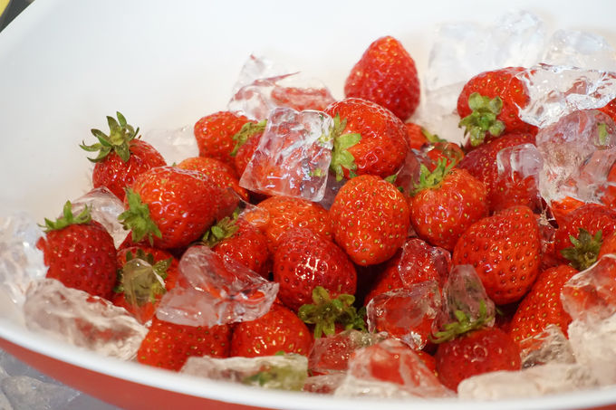 ViuڂvHו