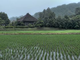 莛ƖP ` ciƎ@z̔ssxOւ̋LTlC