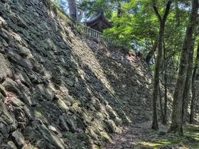 関東七名城の一つ・佐野「唐沢山城」本格的な中世山城を見に行こう