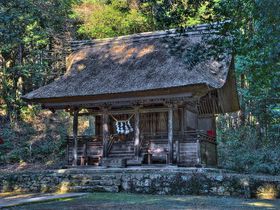 �Ȗ،��v�q���͒����Ў����z�̕�ɁI�֓����w�̌Ì��z�̒��ւ̋L���T���l�C��