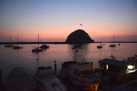 �J���t�H���j�A�̏����ȍ`���u�����x�C�v�łł���T�̑̌��̋L���T���l�C��