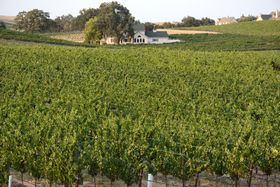 CƃNtgAR[̕ɁIJtHjÃp\uX̋LTlC