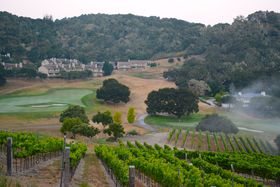 �J���t�H���j�A�̍��؃i�`���������]�[�g�A�J�[�����o���[�����`�̋L���T���l�C��