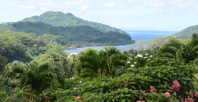 �^�n�A�͓����ό��c�A�[�ŉ��̂��x�X�g