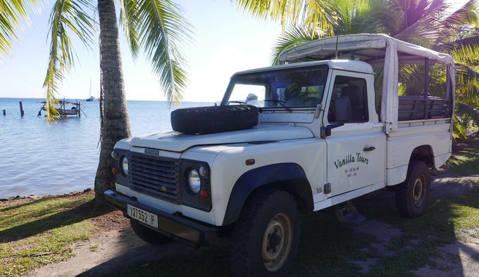 �^�n�A�͓����ό��c�A�[�ŉ��̂��x�X�g