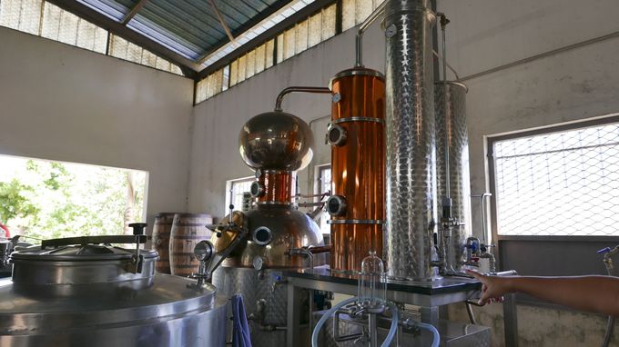 �^�n�A���̂��݂₰�������郉����������