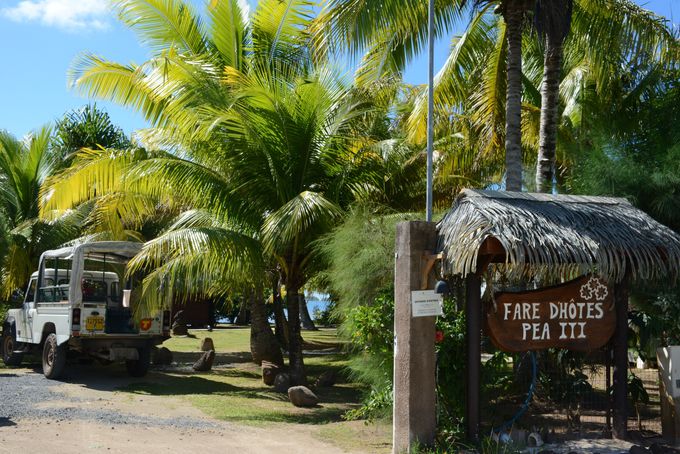 �y���V�����A�t�@���E�y�A�E�C�e�B�̐�i����