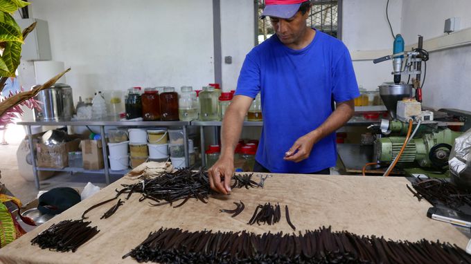 �^�n�A���̂��݂₰�������郉����������