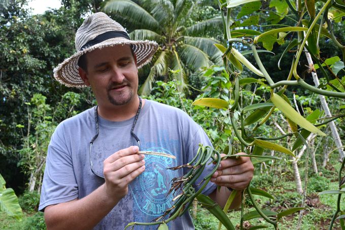 ���E�ł��������i��̃o�j������_��