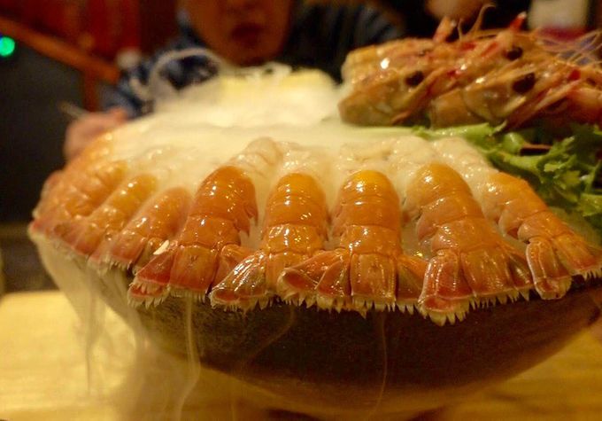 CX^fKIuϏBGrv̓}XgŐHׂ