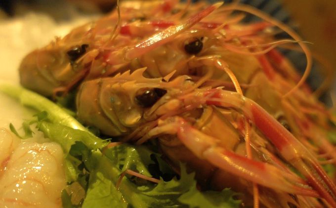 RŐlC̃OuϏBGri^bZEjvĉH