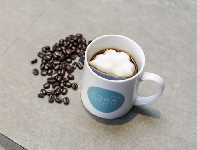 uSORA terrace cafei\eXJtFjvŉ_C҂