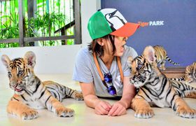 ӃJȐԂgɐGꂠ@p^u^CK[p[Nv̋LTlC