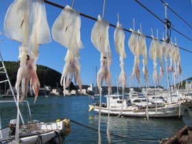 �Ďq�̂����n�O�����w�C�J��������x�𖡂킢�A���{�O�咩�s�̈�w�Ďq���s�x�ł��y�Y�I�с�̋L���T���l�C��