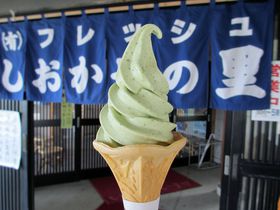 ֎sEpŖ키A[̊CNnOI̋LTlC