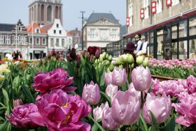 �`���[���b�v�Ղ͕K���I�t�����ǂ��떞�ڂ́u�n�E�X�e���{�X�v�̋L���T���l�C��