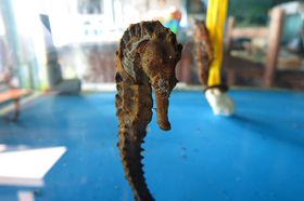 RloCMŘb蕦Iu^cmIgVSnEXv̋LTlC