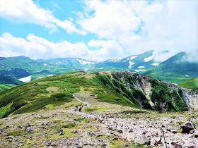 登山初心者大歓迎！夏の北海道大雪山の秀峰「黒岳」を歩こう