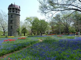 tɖKꂽkĈߊόX|bg10I tHgWFjbNȏtiF!̋LTlC