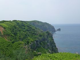 海鳥の楽園に広がる大自然を体感！北海道「天売島」を歩こう