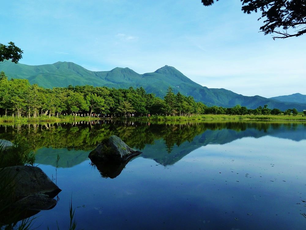 世界自然遺産の原生林に佇む神秘的な「知床五湖」を歩こう！