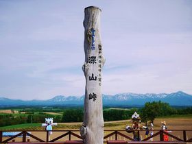 xǖ쒬E[RŊyޏ\xA̐iƃA[g̐E̋LTlC