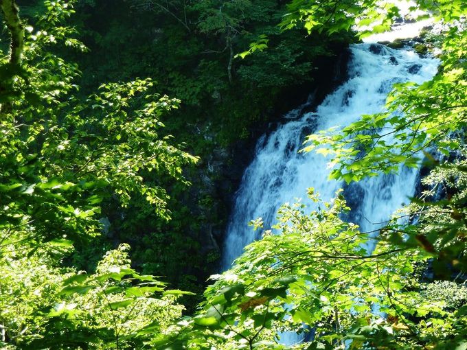大自然の中を歩いて「熊越の滝」へ行こう！