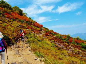 日本一早い絶景紅葉に感動！赤岳・銀泉台から緑岳へ縦走登山