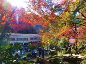 gt̍RɂĔH𖞋iIuRoRṽXX̋LTlC