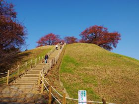 gtEjEBOIʌscsu܌Õv̋LTlC